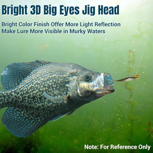 Big Eyes Crappie Jig Heads