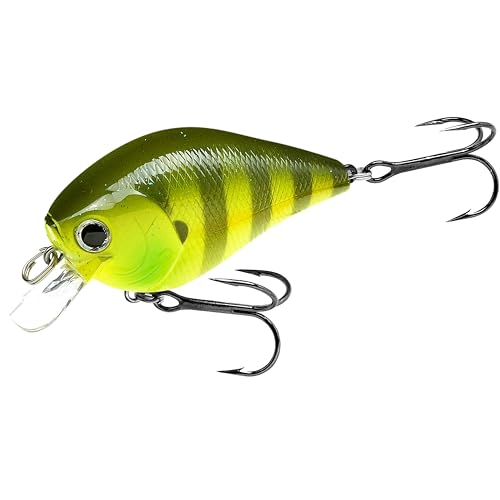 Fat CB BDS2 Fishing Lure