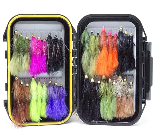 36 Beadhead and Cone Head Wooly Bugger Fly Assortment with Waterproof Fly Box for Trout (36 Woolly Bugger+Fly Box)