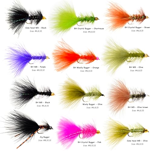 36 Beadhead and Cone Head Wooly Bugger Fly Assortment with Waterproof Fly Box for Trout (36 Woolly Bugger+Fly Box)