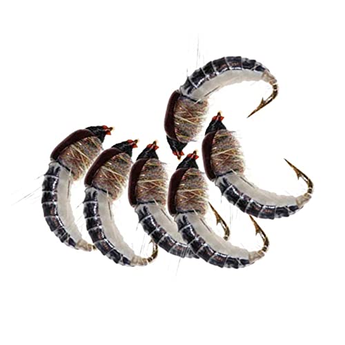 24Pcs Fly Fishing Flies Trout Lures Fishing Tackle Fly Fishing Flies with Boxed Trout Bass Artificial Fish Bait (24Pcs-Scud Nymph Black)
