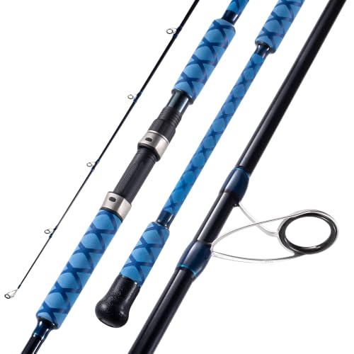 Surf Fishing Rod Carbon Surf Spinning Fishing Rod with Fuji Guide