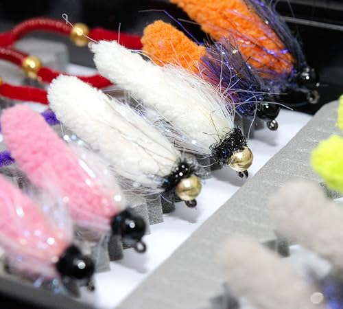 36 Mop Jig Tungsten Bead Flies and San Juan Worm Power Bead Trout Fly Assortment with Waterproof Fly Box for Wet Nymph Fly Fishing Flies (12 Mop Jig+24 San Juan Worm with Fly Box)