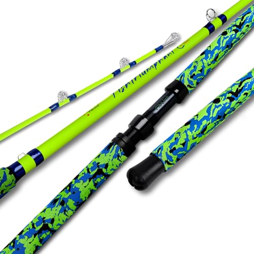 Catfish Fishing Rods