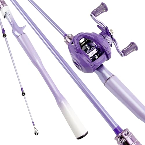 Fishing Pole and Reel Combo