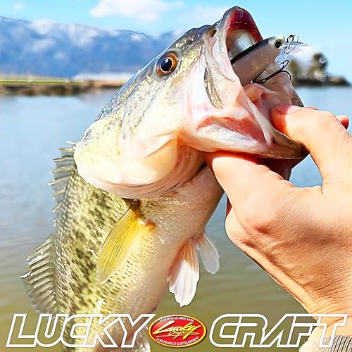 Pond Bass Premium Box (Pond Bass Fishing)