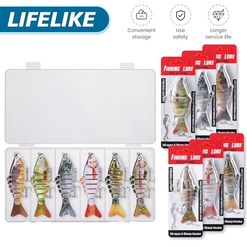 6PCS Fishing Lures for Freshwater and Saltwater with case