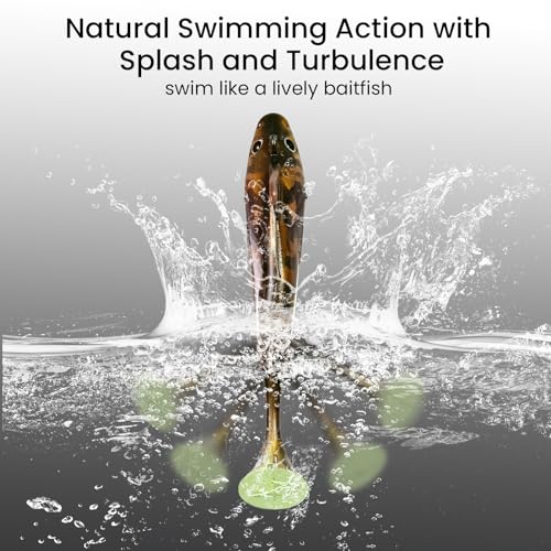 6 pcs Sharkita Jig Head Soft Fishing Lures