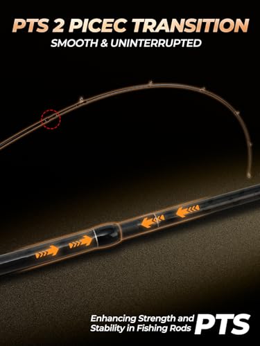 10Ft Spinning Fishing Rod (10'0"-Heavy-Fast-Black)