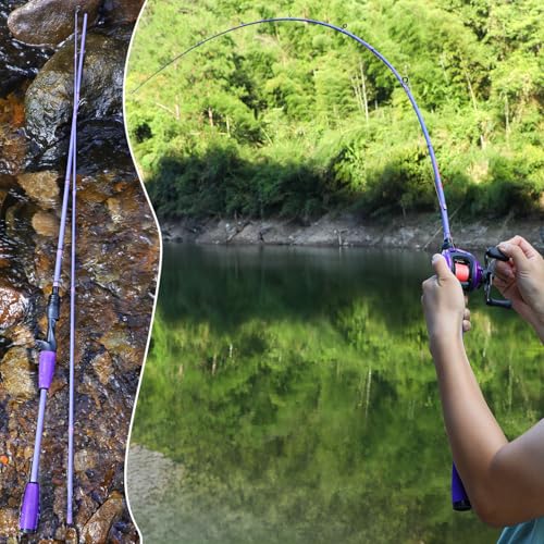 VoidFlare Performance Spinning & Casting Fishing Rod