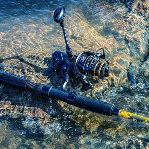 Spinning Rod Combo