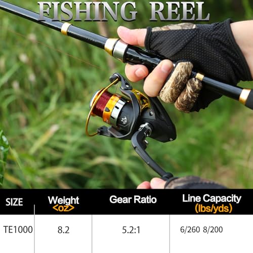 Fishing Rod and Reel Combo Telescopic Fishing Pole 2PCS Reel Set with Collapsible Poles and Carry Bag Portable Travel Freshwater and Saltwater Fishing Starter Kit (ï¼ 2 packï¼ Black and Gold / 5.9FT)