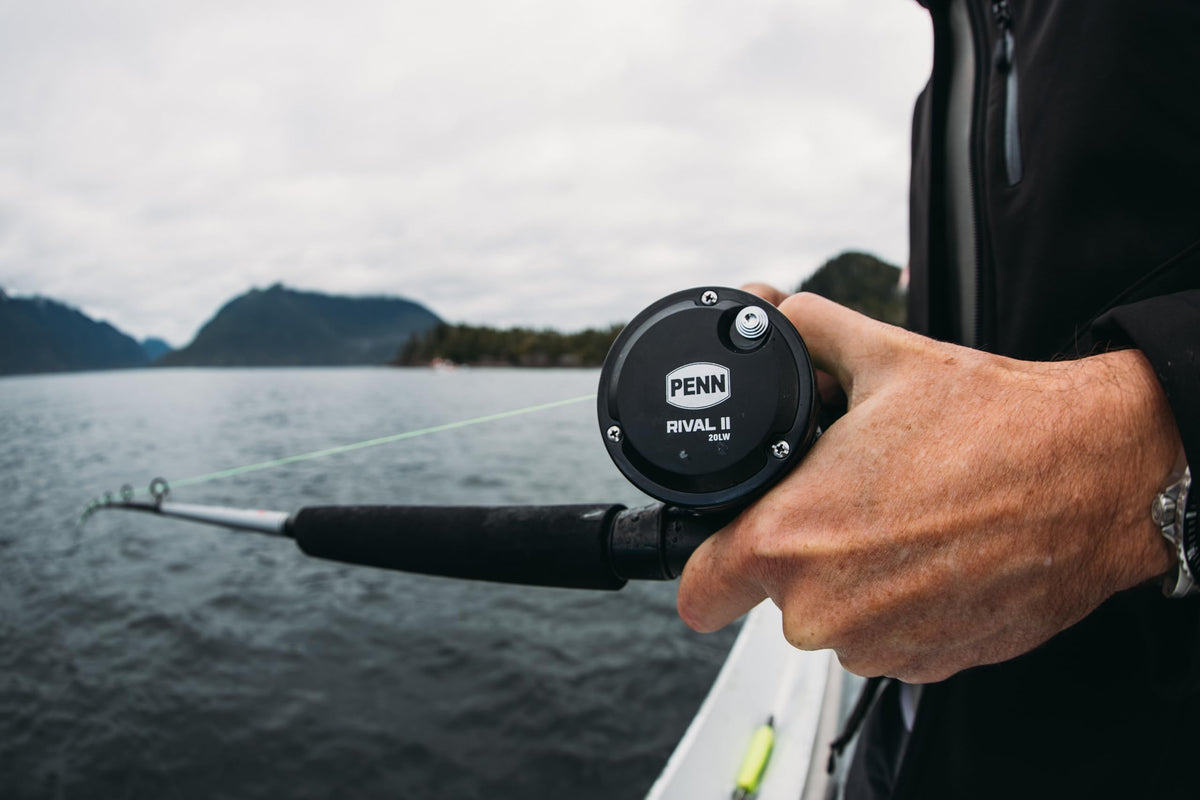 Rival II Level Wind Conventional Fishing Reel (New Model / 30)