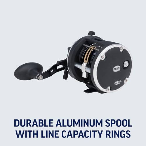 Rival Level Wind Conventional Boat Fishing Reel (Old Model / 20)