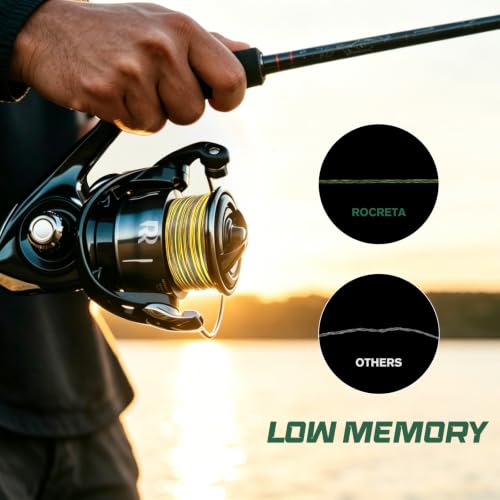 Aura Braided Fishing Line (Moss / 80LB(300YDS))