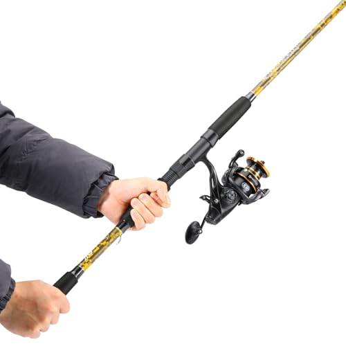 Spinning Rod Combo
