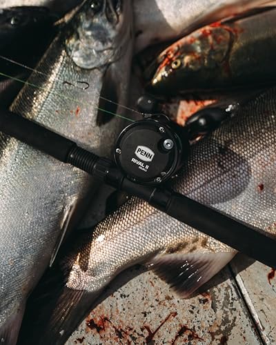 Rival II Level Wind Conventional Fishing Reel (New Model / 20 - Line Counter - Left Hand)