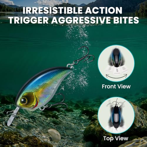 Easy Catch Crankbait with BKK Hooks