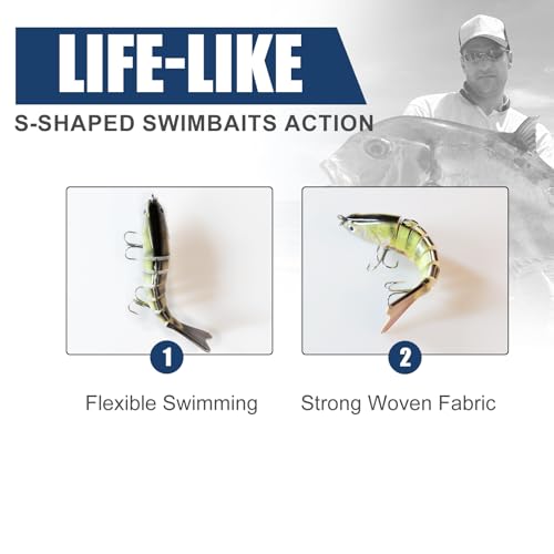 6PCS Fishing Lures for Freshwater and Saltwater with case (B)