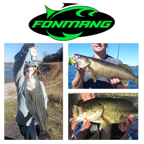 Fishing Lures (C)