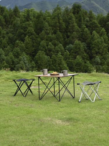 Ultralight Compact Camping Folding Stool with Carry Bag