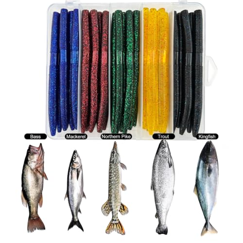 5 Colors 40 Pack Senko Worms for Bass Fishing (Set B (40pcs-0.35oz/5.5in))