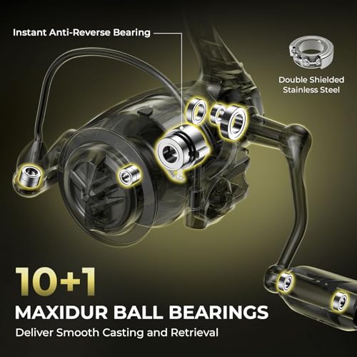 Spartacus Defender Twin (6'6" ML- 2000 Reel (2pcs+ Extra Tip) / Spinning)