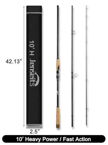 10Ft Spinning Fishing Rod (10'0"-Heavy-Fast-Black)