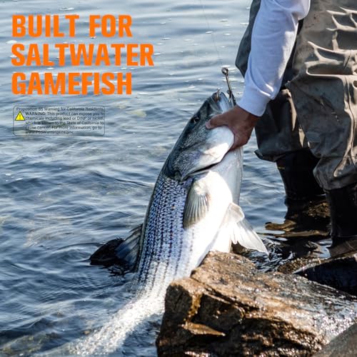 Circle Hooks Saltwater 20