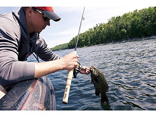 6’6” Elite Spinning Rod (Old Model / 6'6" - Medium - 2pc)