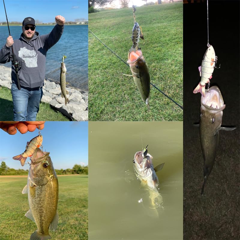 Multi Segmented Fishing Lures
