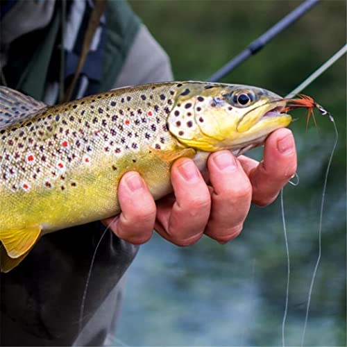 24Pcs Fly Fishing Flies Trout Lures Fishing Tackle Fly Fishing Flies with Boxed Trout Bass Artificial Fish Bait (24Pcs-Royal WulffFly)