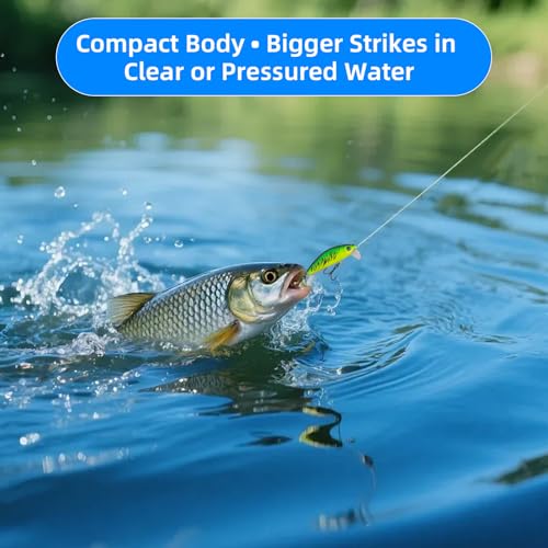 Premium Fishing Crankbait Set (14g)