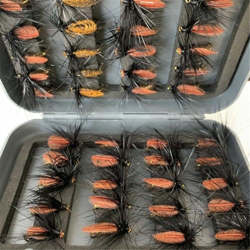 24Pcs Fly Fishing Flies Trout Lures Fishing Tackle Fly Fishing Flies with Boxed Trout Bass Artificial Fish Bait (24Pcs-Beetle Fly)