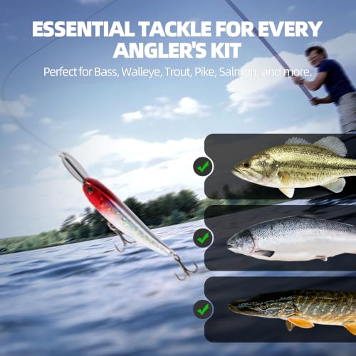 5 Pcs Minnow Fishing Lure Set with Metal Lip and Storage Case (2 1/2 ′′)