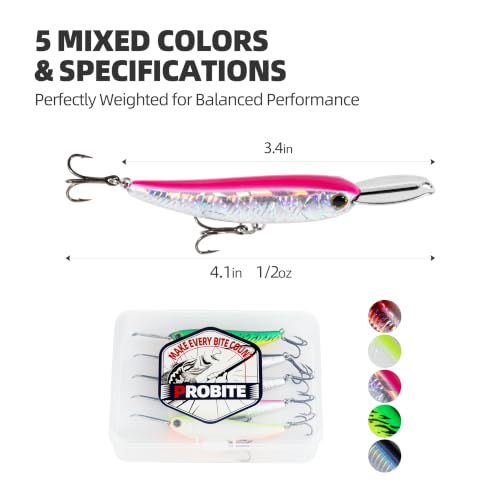 5 Pcs Minnow Fishing Lure Set with Metal Lip and Storage Case
