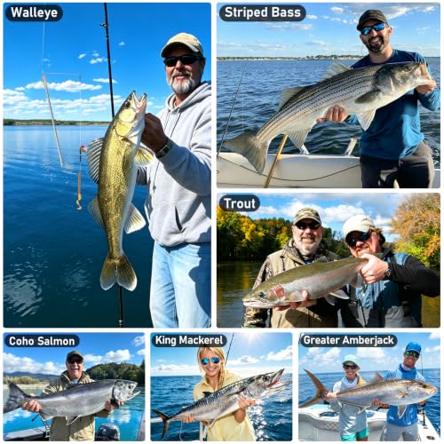 5 Pack Bottom Bouncer for Walleye Rigs (Silver / Bold-1oz-5PCS)
