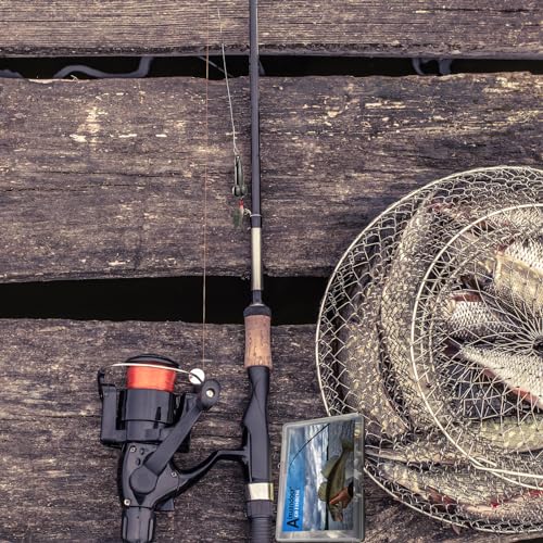 Bass Fishing Lure (Gold / 20g, 15g)