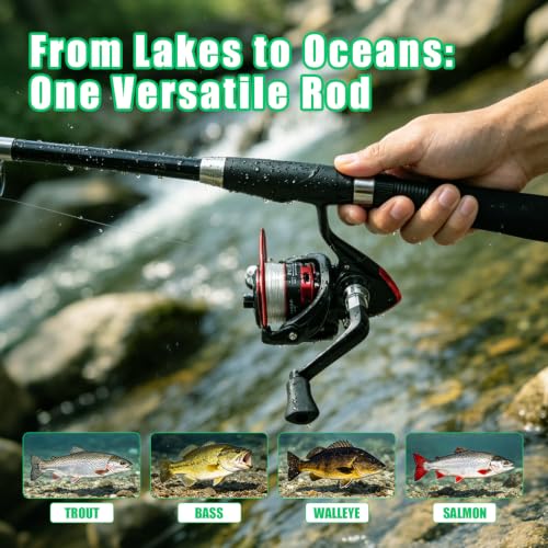 2pcs 5.9FT Fishing Rod and Reel Combo