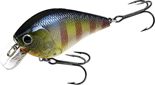 Fat CB BDS2 Fishing Lure
