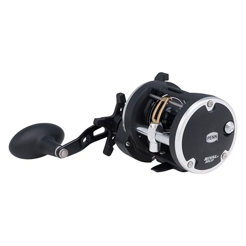 Rival Level Wind Conventional Nearshore (Old Model / 20 - Clam Pack)