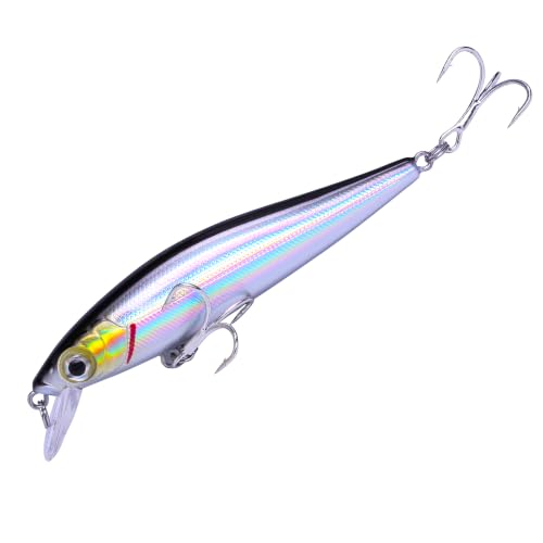 Floating Minnow Fishing Lure