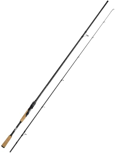 8Ft Spinning Fishing Rod (8'0"-Medium Heavy-Fast-Black)