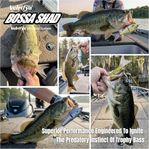 Bossa Shad Glide Bait for Bass Fishing (04-Tiger Perch)