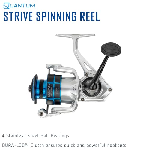 Strive Spinning Fishing Reel