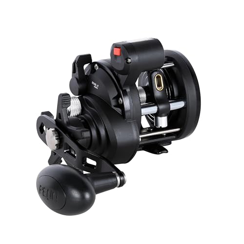 Rival II Level Wind Conventional Fishing Reel (New Model / 15 - Line Counter)