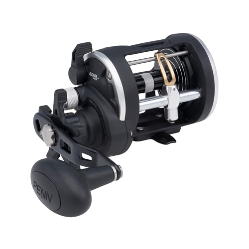 Rival Level Wind Conventional Boat Fishing Reel (Old Model / 20)