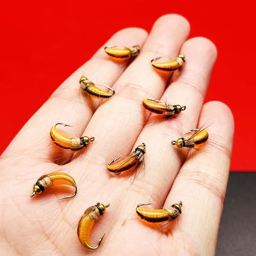 10Pc Wet Flies Bait Fly Fishing Flies for Bass Trout Pike Salmon Brass Head Caddis Nymph Handmade Fishing Bait Artificial Insect Fishing Lure (Orange)