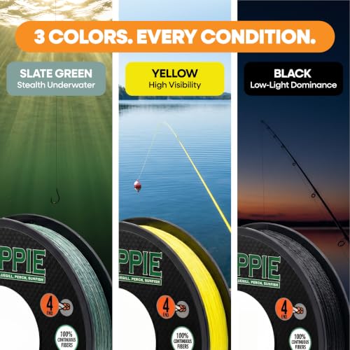 Crappie Braided Fishing Line Micro Diameter 4