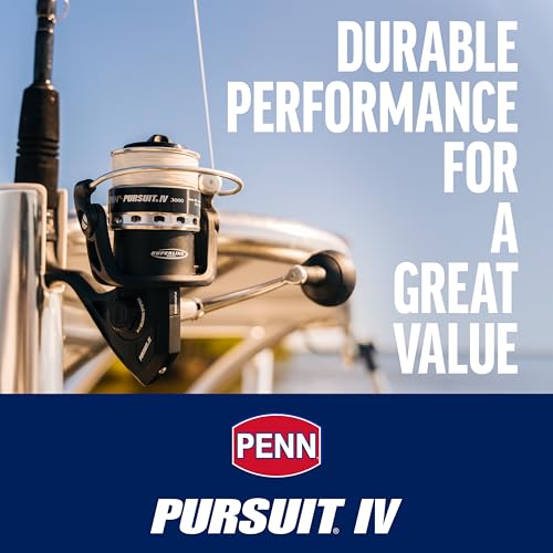 Pursuit IV Inshore (Pursuit Iv / 6000)